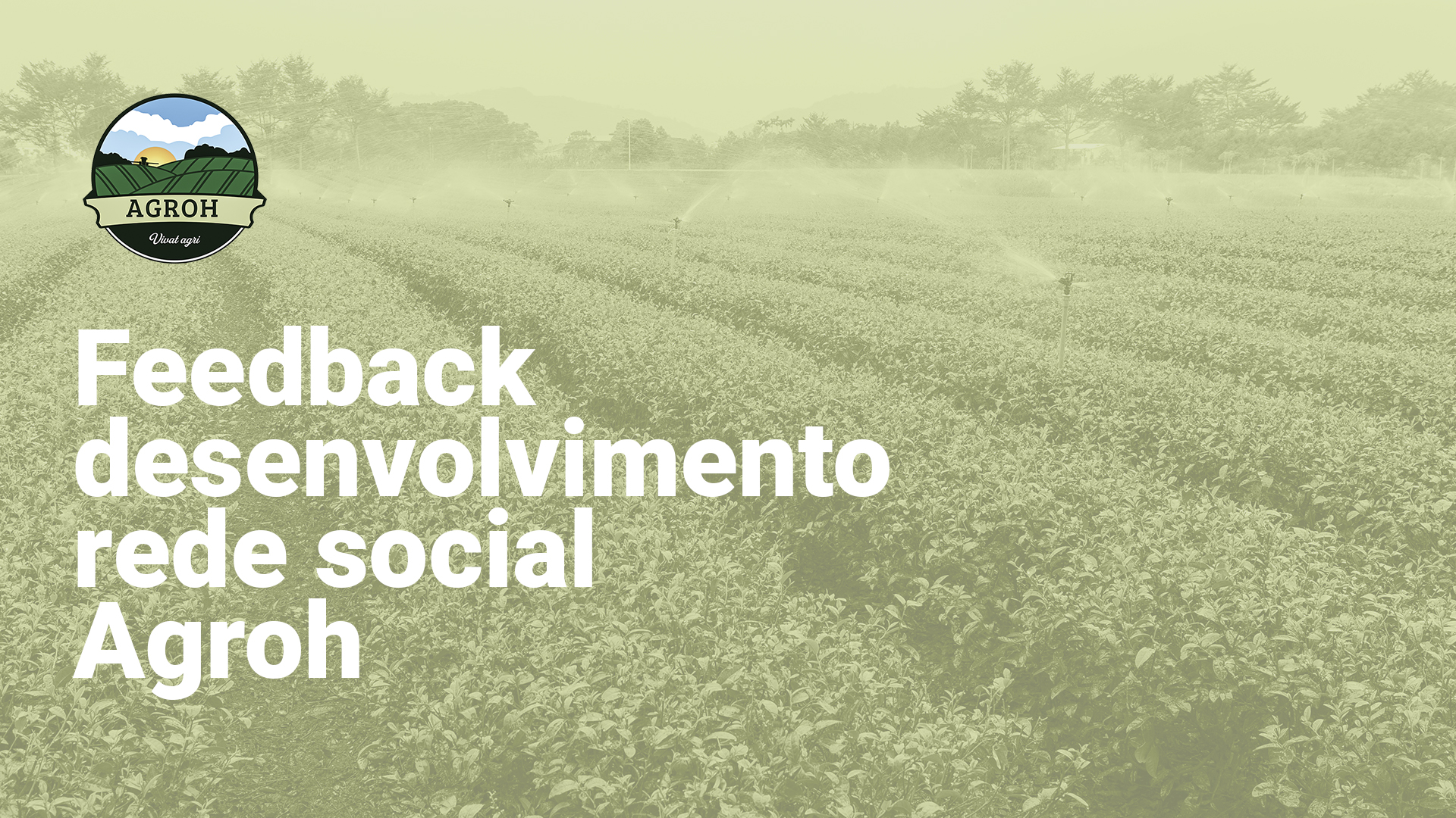 Feedback desenvolvimento Rede Social Agroh