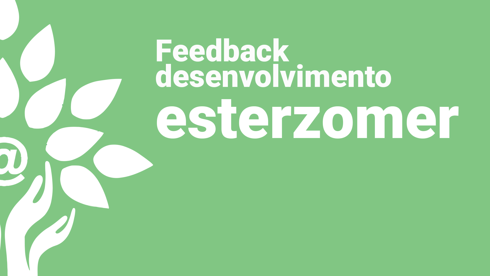Feedback Desenvolvimento esterzomer.com.br 30 de Janeiro