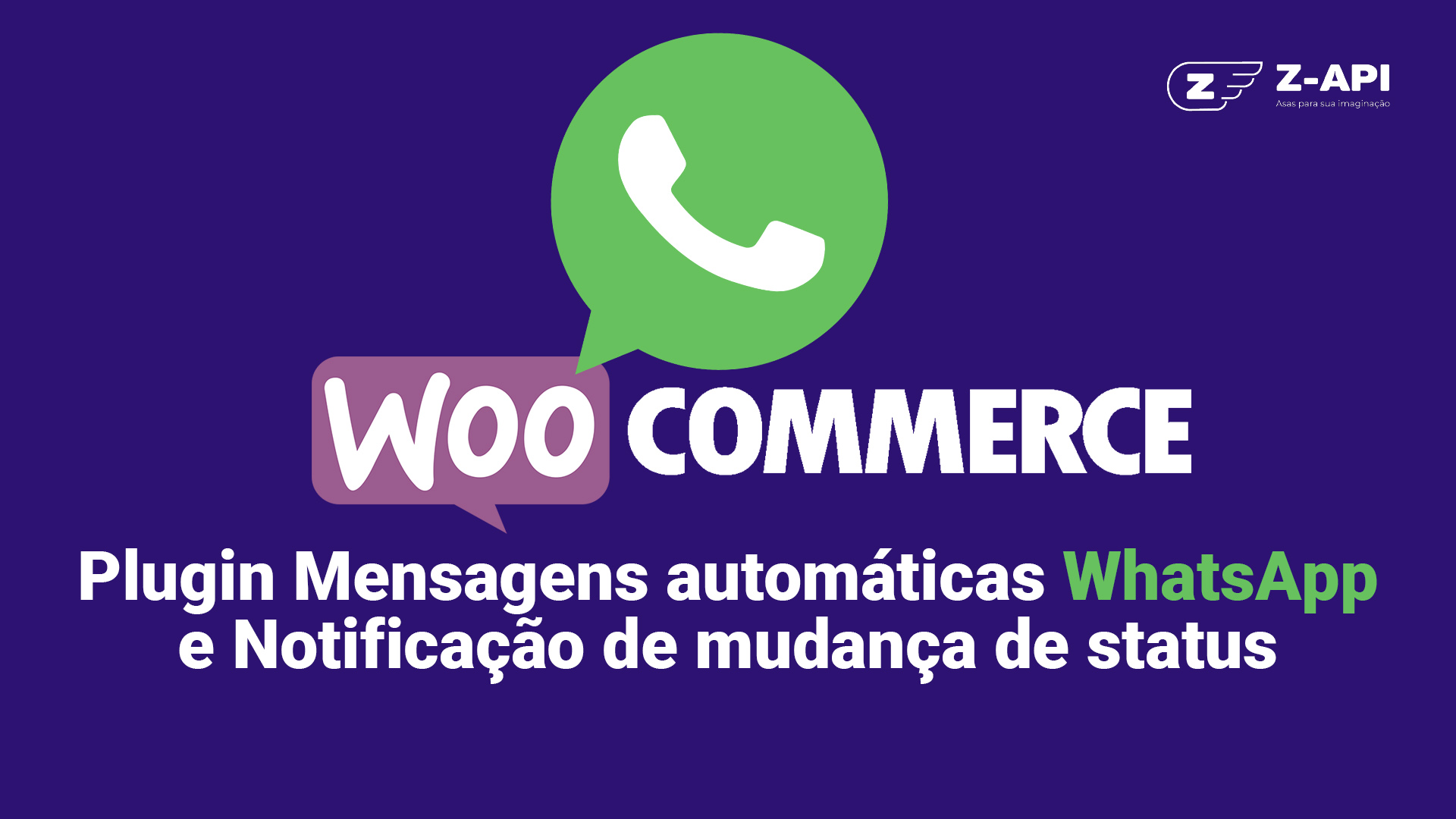 Plugin Diogenes Junior WooCommerce WhatsApp Mensagens – Demonstração