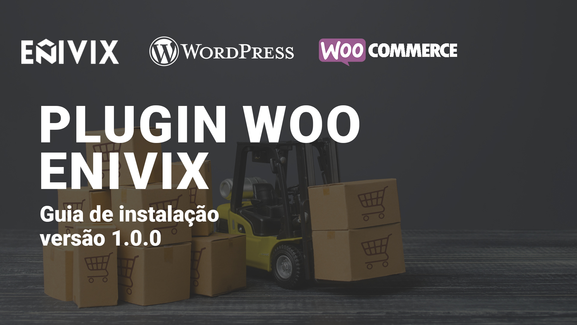 Plugin Integração Enivix WooCommerce 1.0.0: Manual de Uso e Demonstração