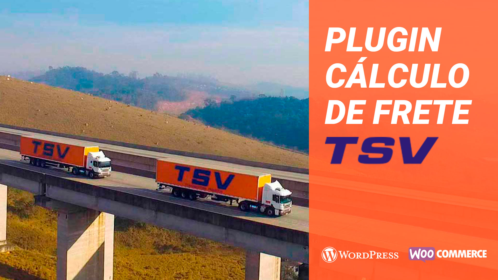 Manual de Uso: Plugin Cálculo de frete TSV transportes [ATUALIZAÇÃO 1.2: tempo de entrega]