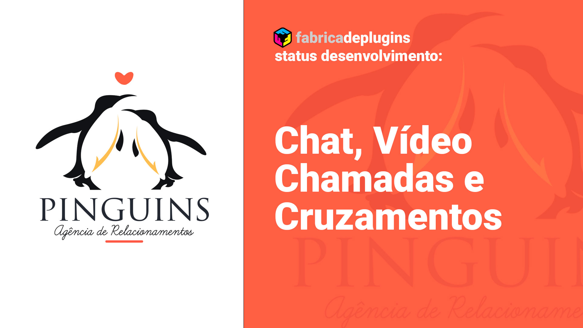 Status do desenvolvimento Pinguins: Chat, Chamadas de Vídeo e Cruzamentos
