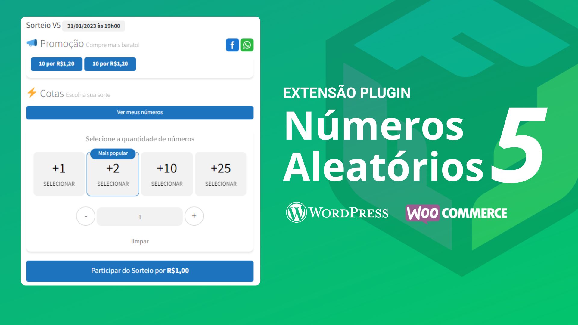 Plugin Extensão Rifa Números Aleatórios para WordPress WooCommerce  [VERSÃO 5]